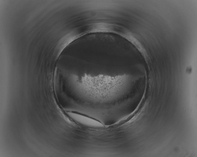 X0000094431337200711211424