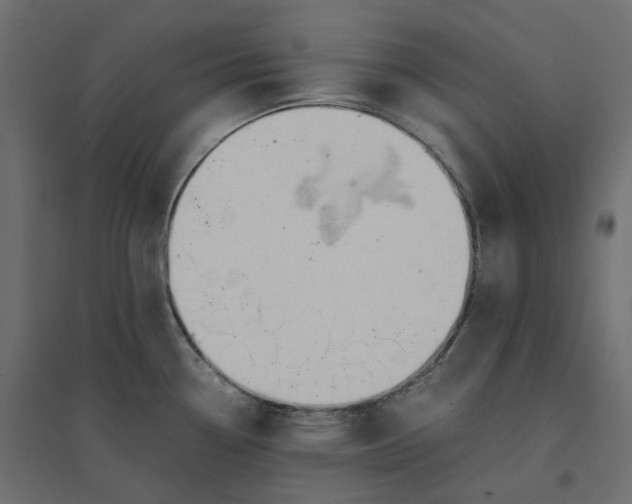 X0000094431338200711211424