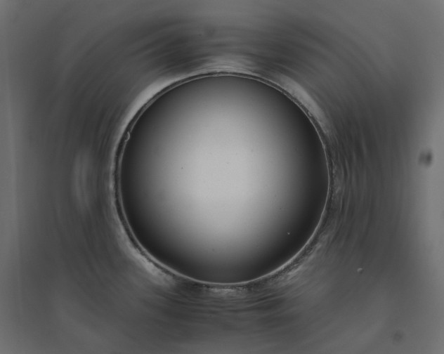 X0000094431339200711211424