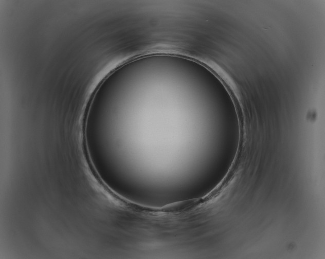 X0000094431341200711211424