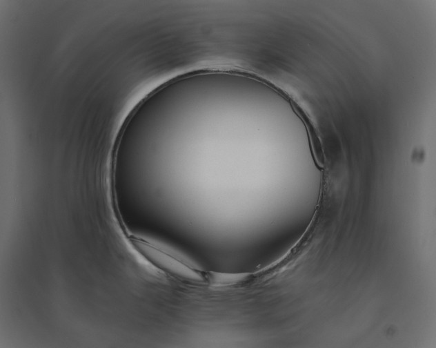 X0000094431343200711211424