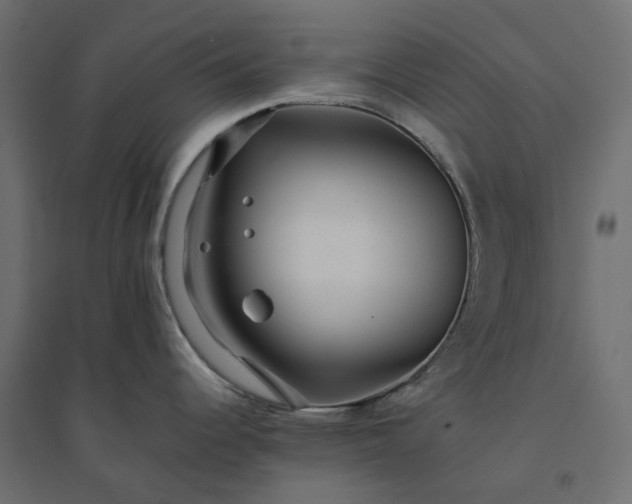 X0000094431344200711211424