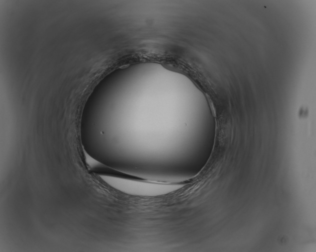 X0000094431345200711211423