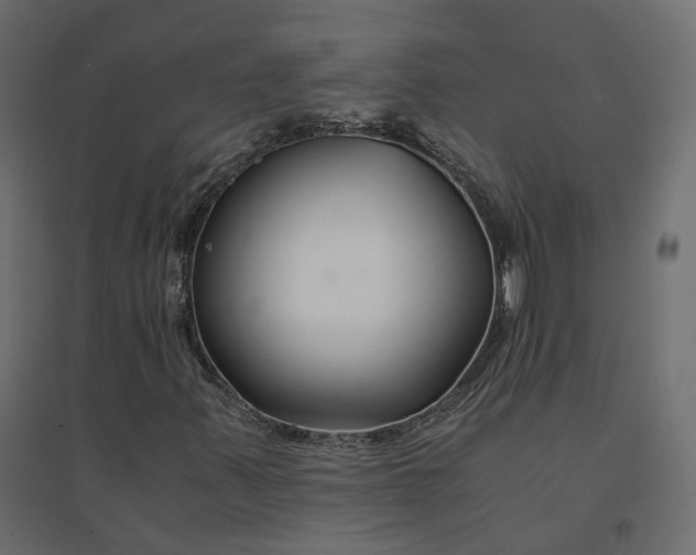 X0000094431347200711211423