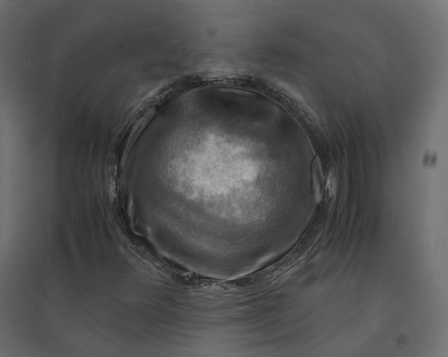 X0000094431348200711211423