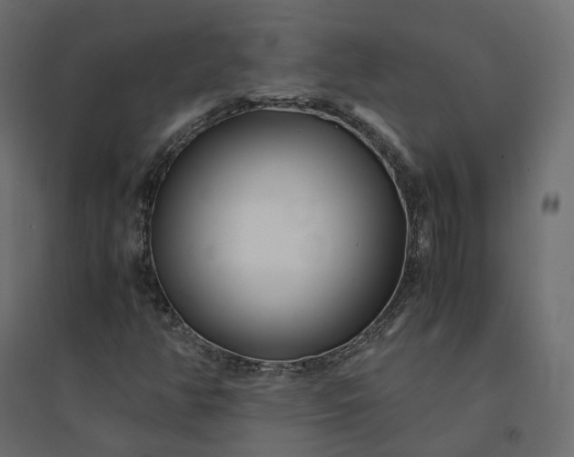X0000094431350200711211423