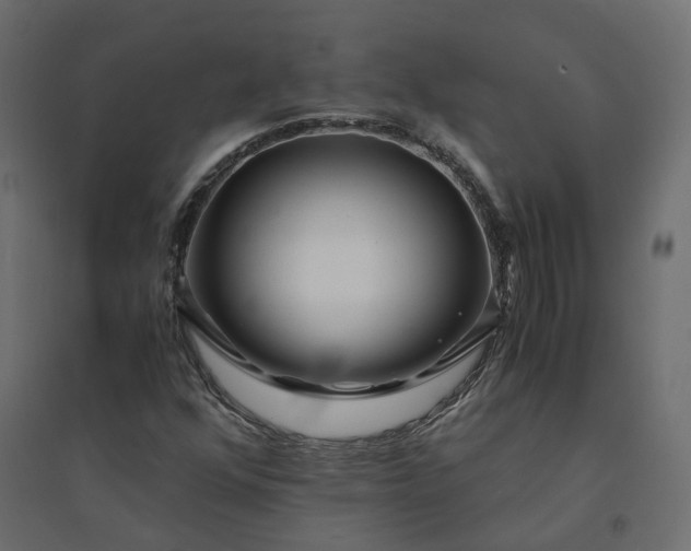 X0000094431352200711211423