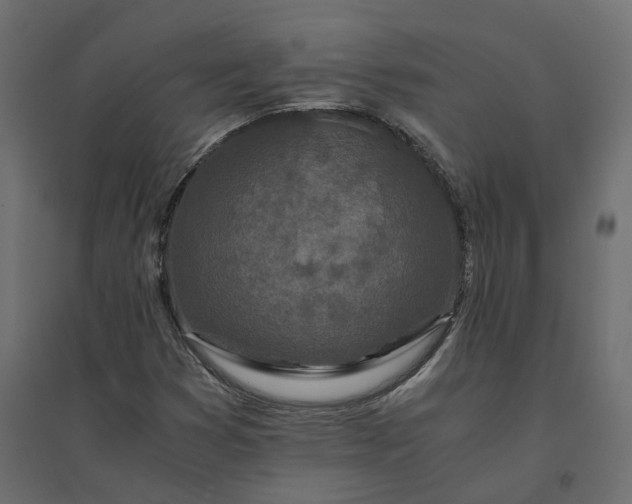 X0000094431353200711211423