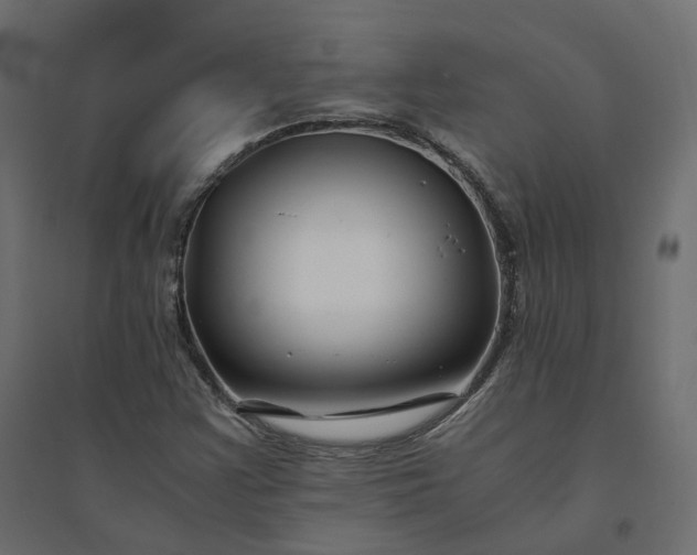 X0000094431355200711211423