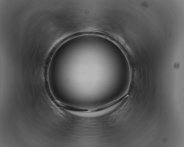 X0000094431356200711211423
