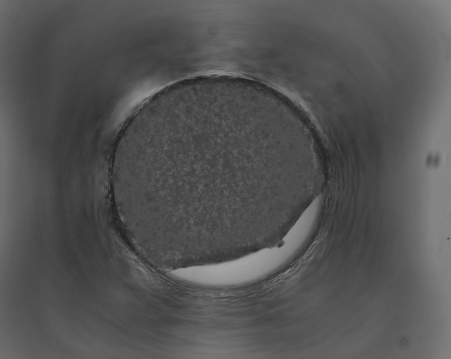 X0000094431359200711211423