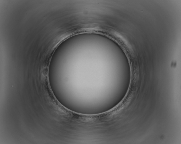 X0000094431361200711211423