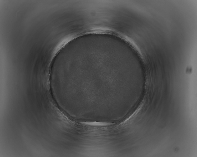 X0000094431362200711211423