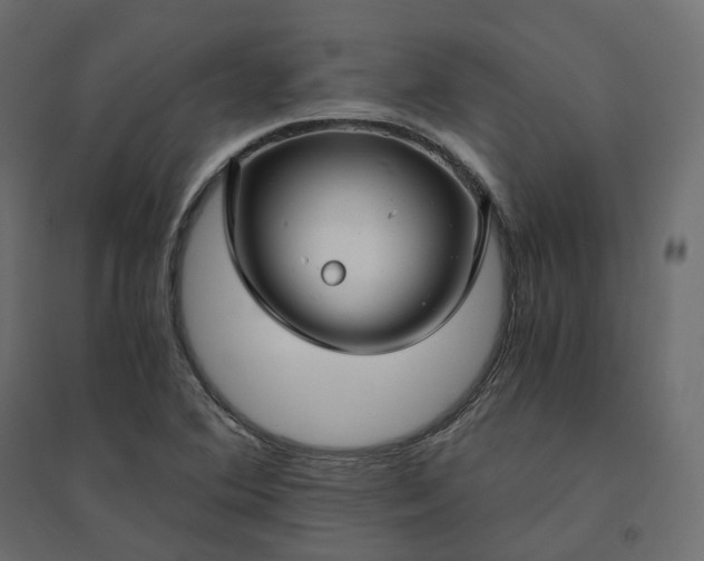 X0000094431364200711211423