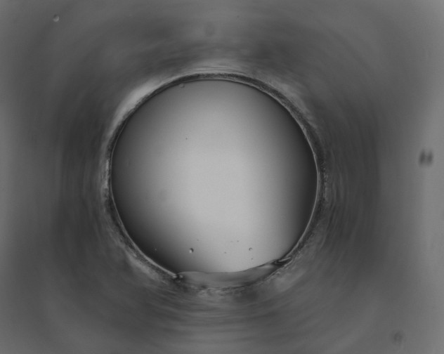 X0000094431366200711211423