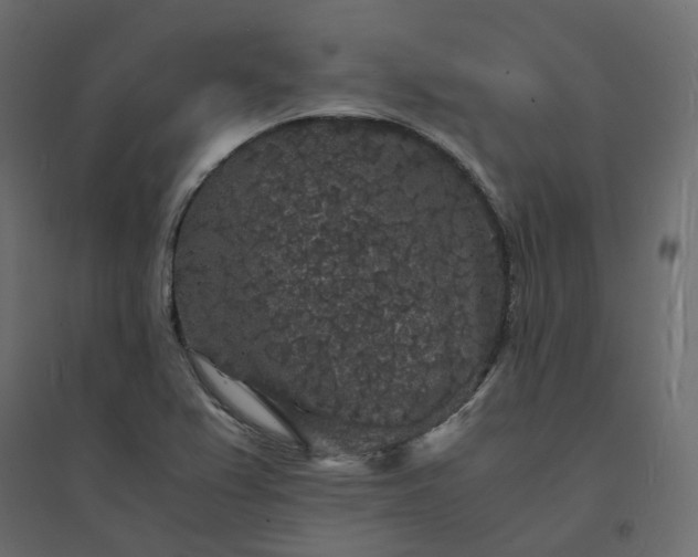 X0000094431367200711211423