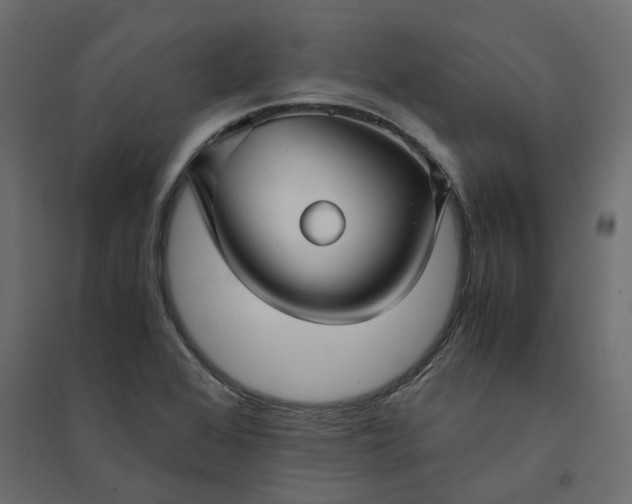 X0000094431368200711211423