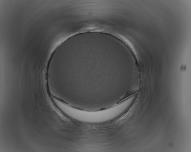 X0000094431373200711211423