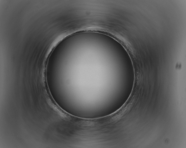 X0000094431374200711211423