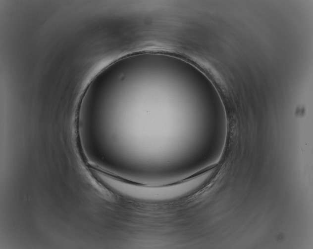 X0000094431375200711211423