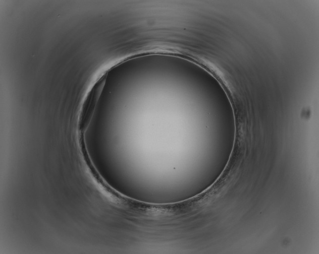 X0000094431379200711211423