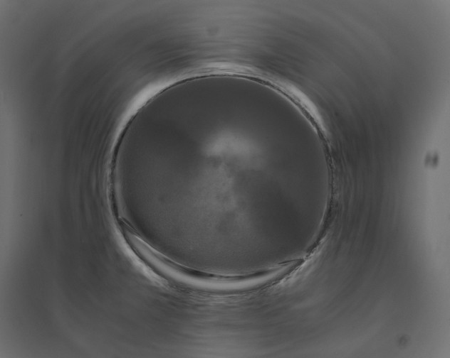 X0000094431381200711211423