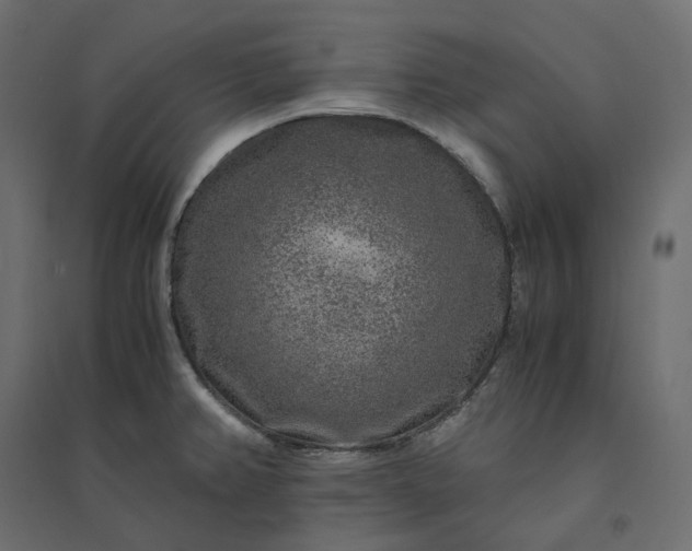 X0000094431382200711211423