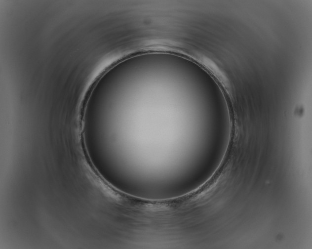 X0000094431384200711211423