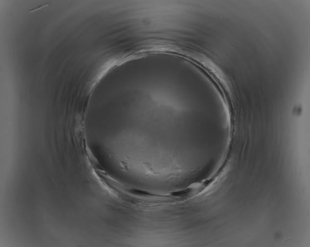 X0000094431385200711211423