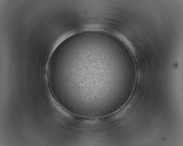 X0000094431386200711211423