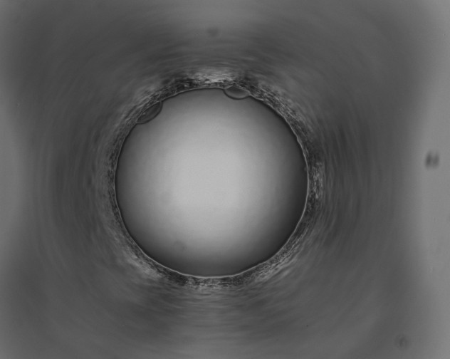 X0000094431393200711211422