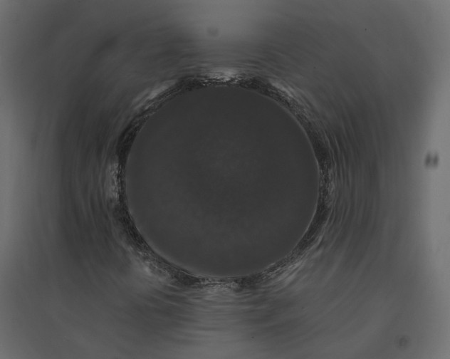 X0000094431394200711211422