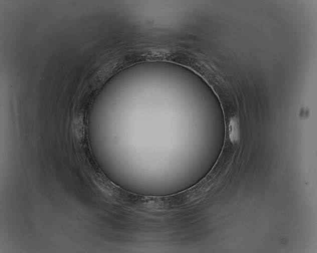 X0000094431395200711211422