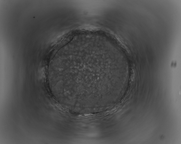 X0000094431397200711211422