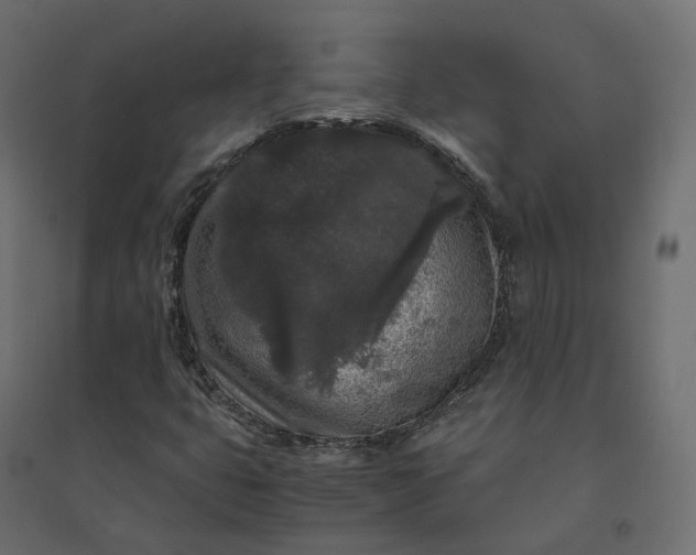 X0000094431399200711211422
