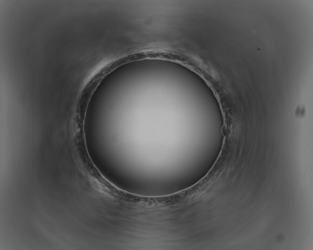 X0000094431400200711211422