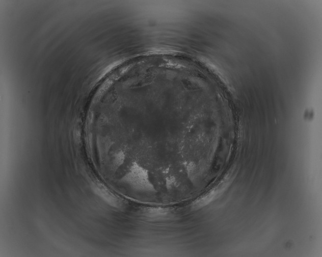 X0000094431401200711211422