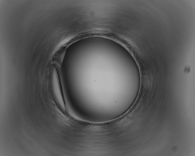 X0000094431402200711211422