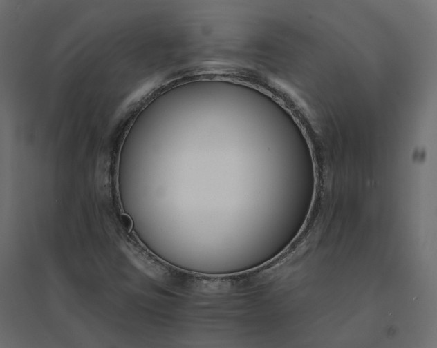 X0000094431403200711211422