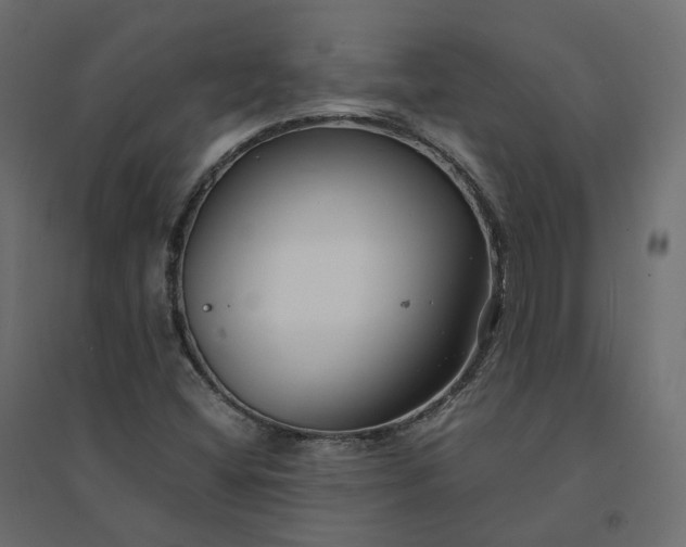X0000094431404200711211422