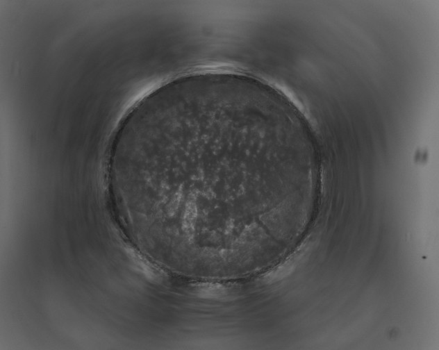 X0000094431405200711211422