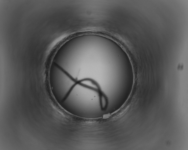 X0000094431406200711211422