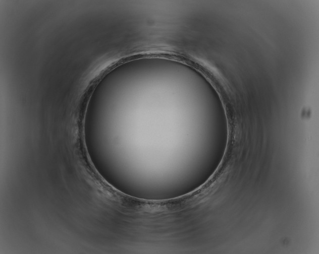 X0000094431407200711211422
