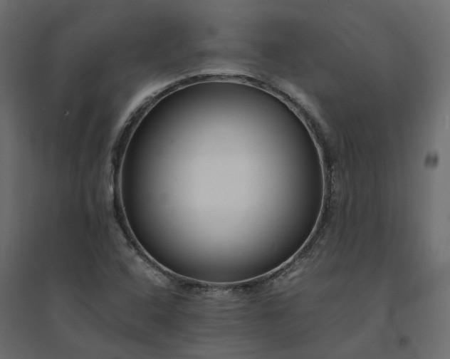 X0000094431408200711211422