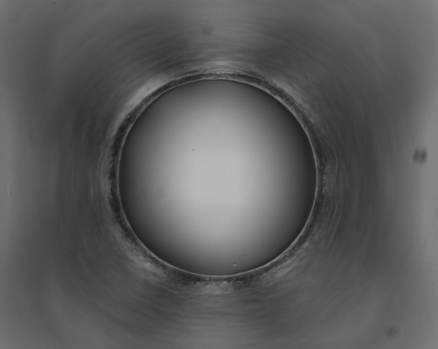 X0000094431410200711211422