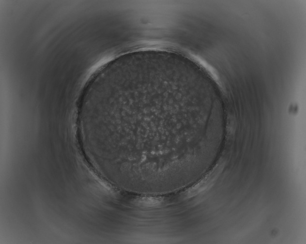 X0000094431411200711211422