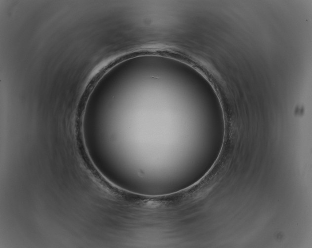 X0000094431412200711211422