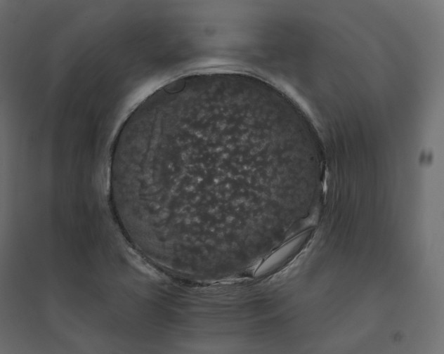 X0000094431413200711211422