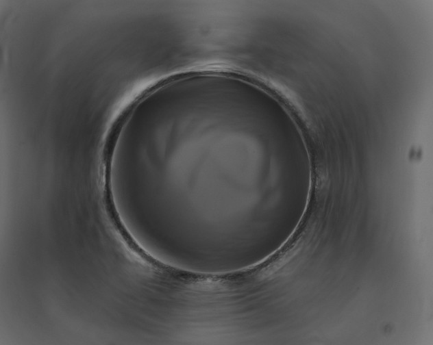 X0000094431414200711211422