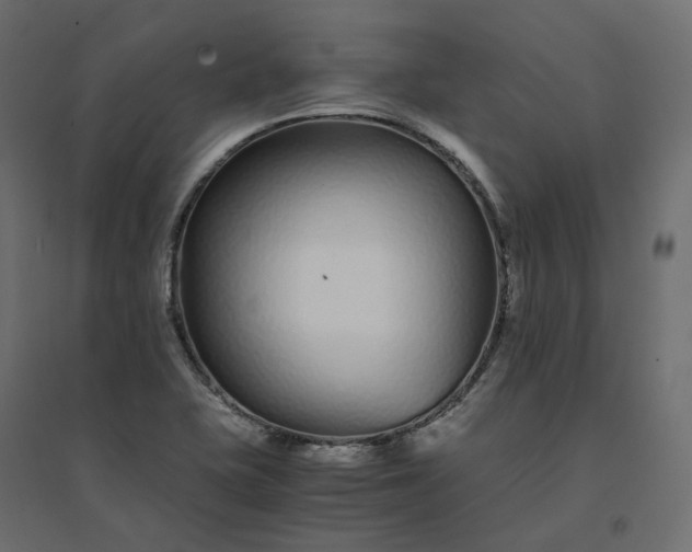 X0000094431415200711211422